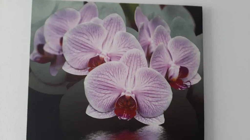 Casa Violeta Villa Funchal  Holiday home