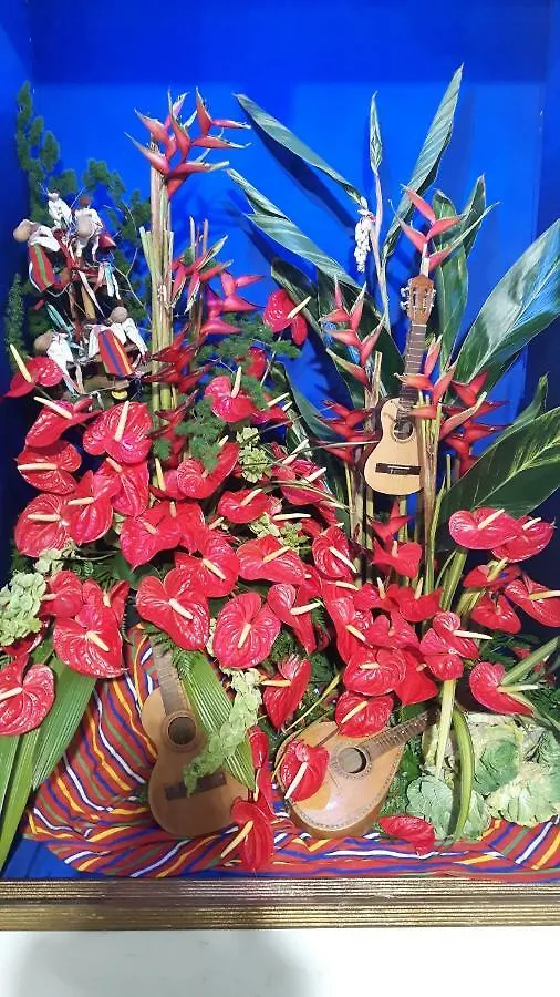 Holiday home Casa Violeta Villa Funchal