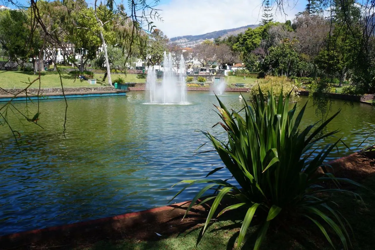 Casa Violeta Villa Funchal